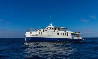 Blue Danube, Galápagos